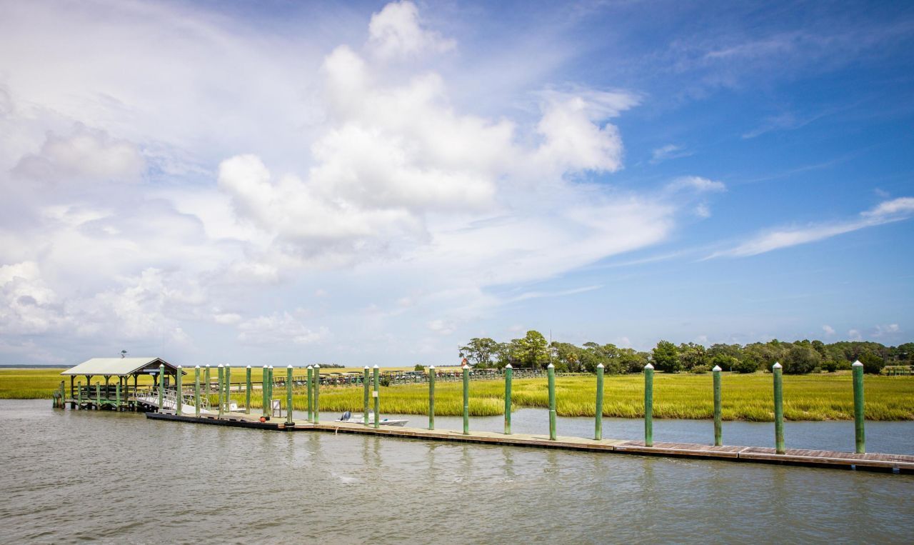 203 Lake Timicau Lane Photo 9