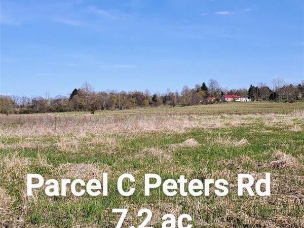 VL Parcel C Peters, Marathon Twp, MI 48421
