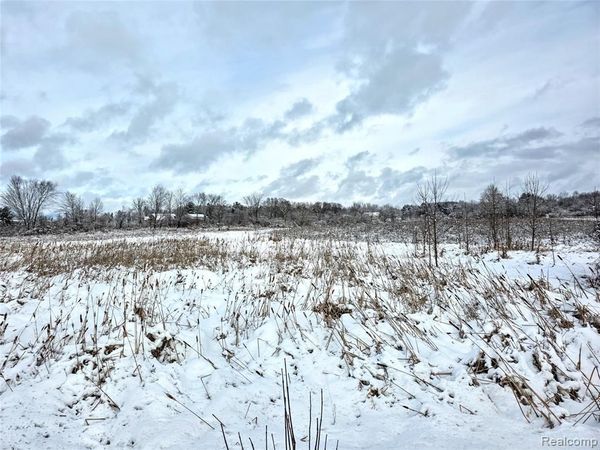 VL Parcel C Peters, Marathon Twp, MI 48421