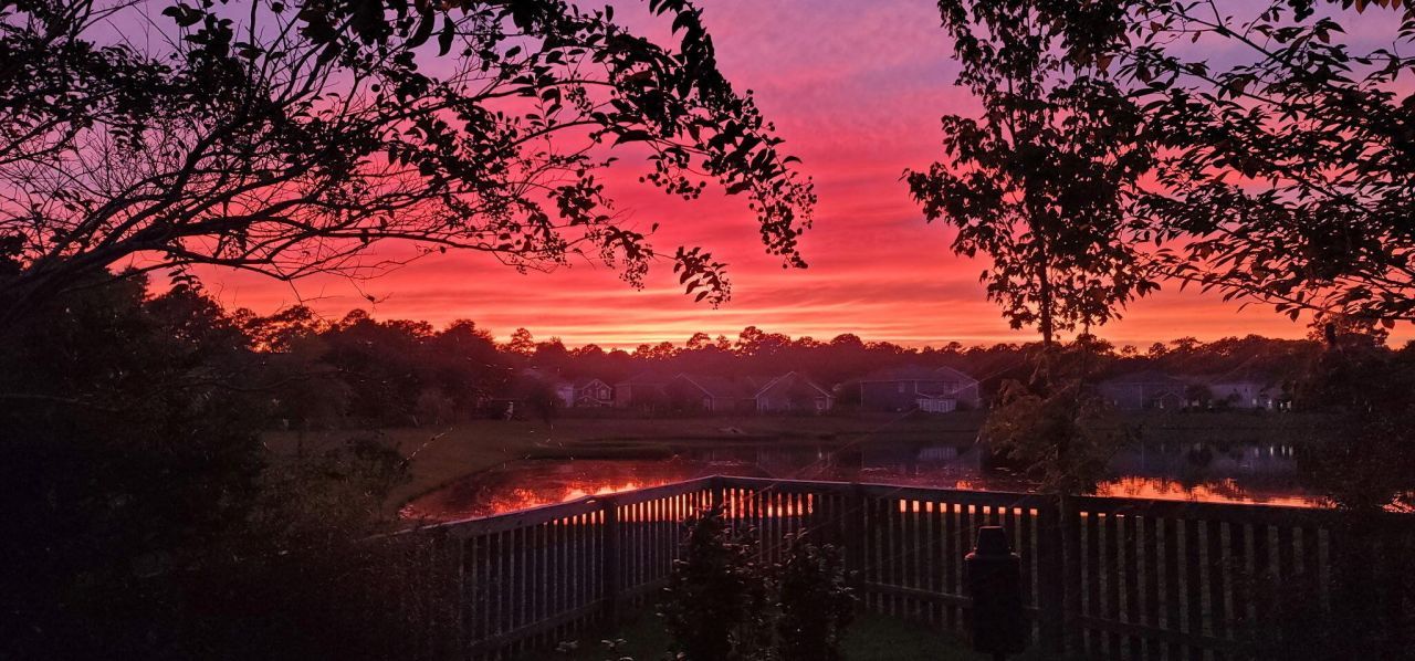 3306 Hartwell Street Photo 51