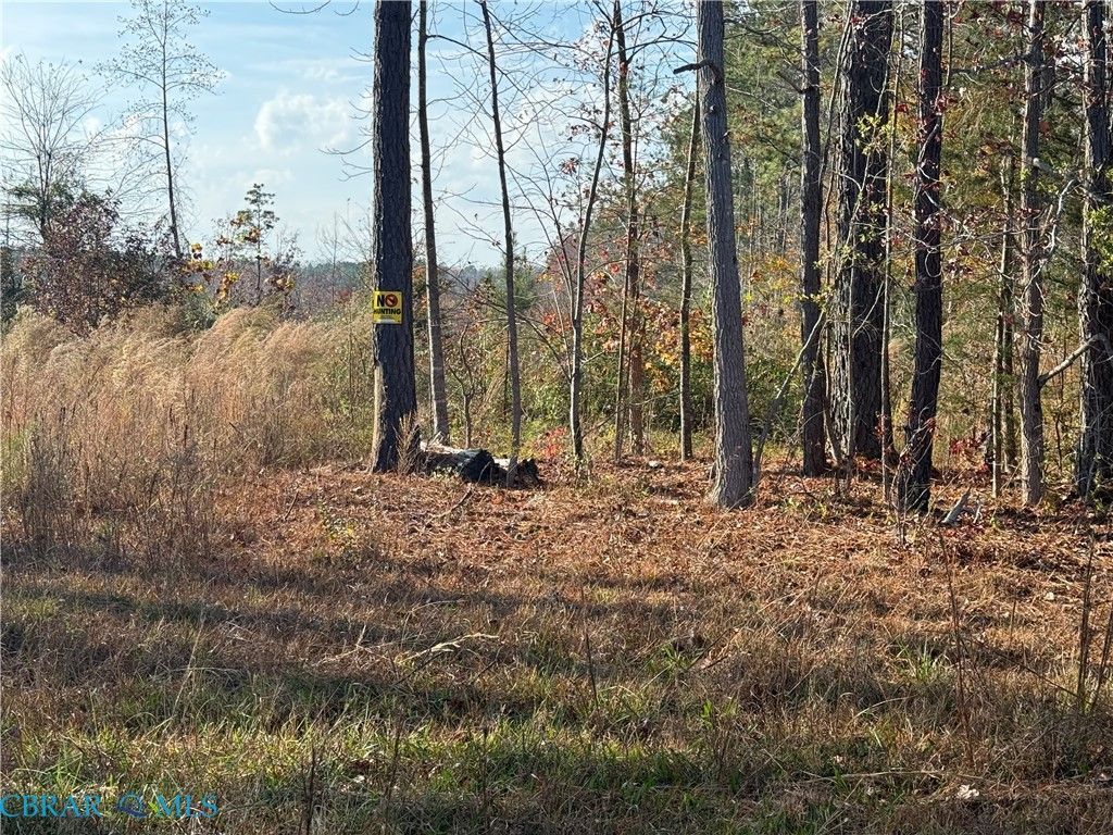 Lot 40-114a Flat Rock Road, Crewe, VA 23930 Main Photo