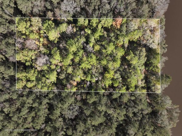 1.0 MOL AC Old HWY 24 Parcel 33, Mc Lain, MS 39456