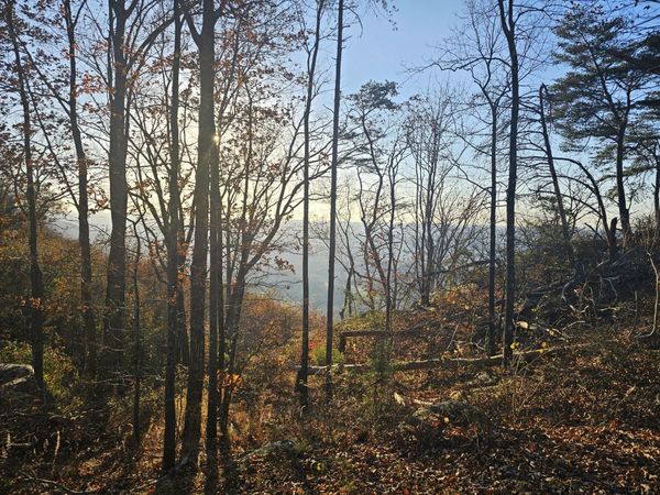 407 Brow Wood Lane, Lookout Mountain, GA 30750