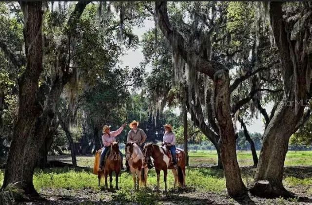 3200 River Ranch Boulevard, Unit 215, River Ranch, FL 33867 Photo