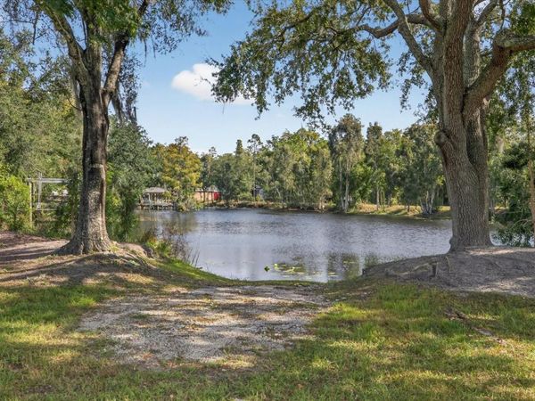 3926 COVE LAKE PLACE, LAND O LAKES, FL 34639