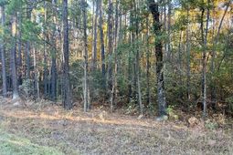 00 Second Texas Road photo 4