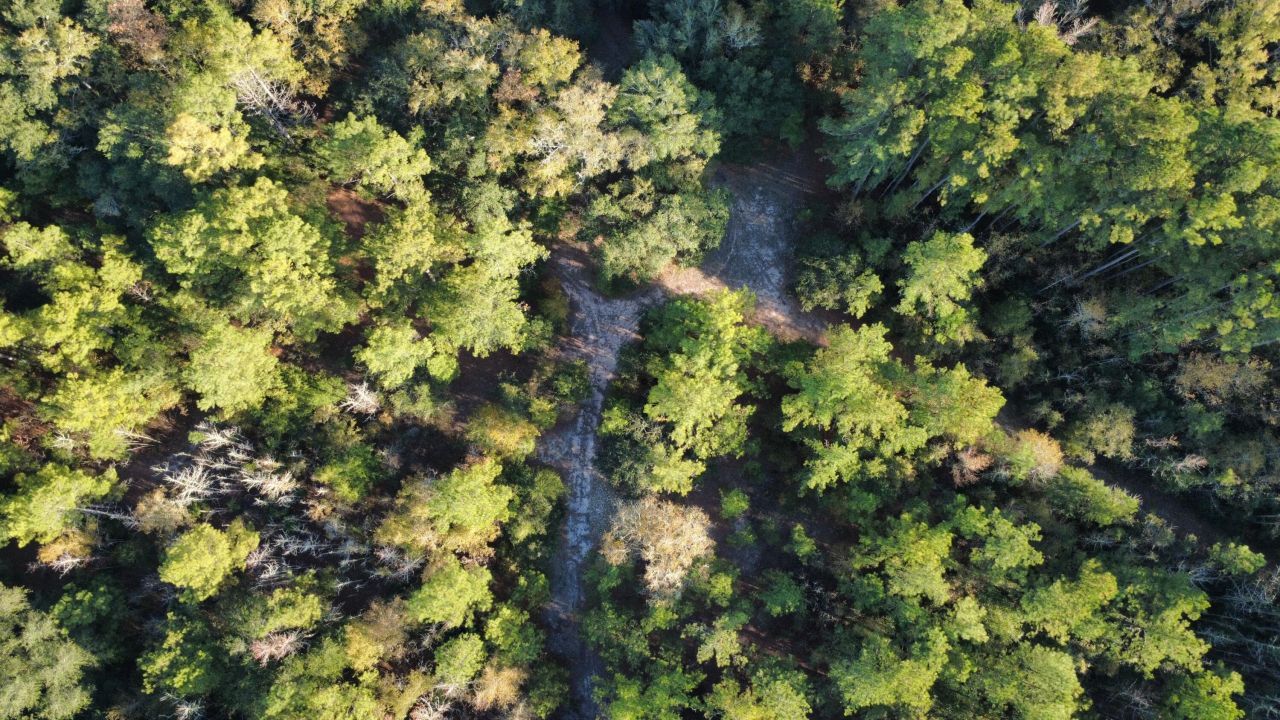 00 Second Texas Road Photo 4