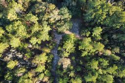 00 Second Texas Road photo 4