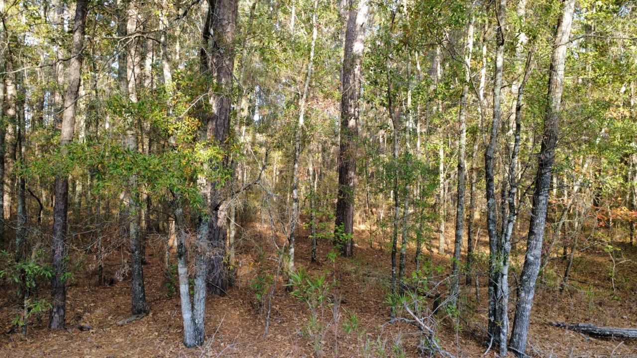 00 Second Texas Road Photo 7