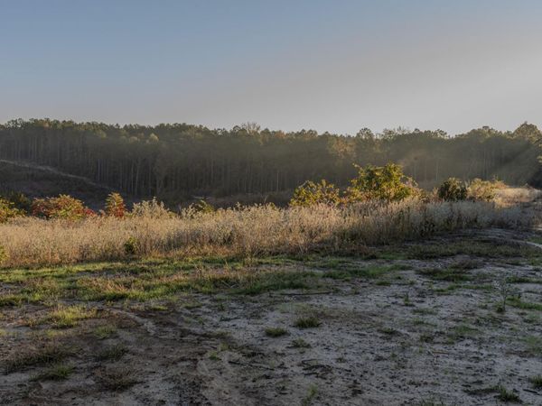 Ms-440, West, MS 39192