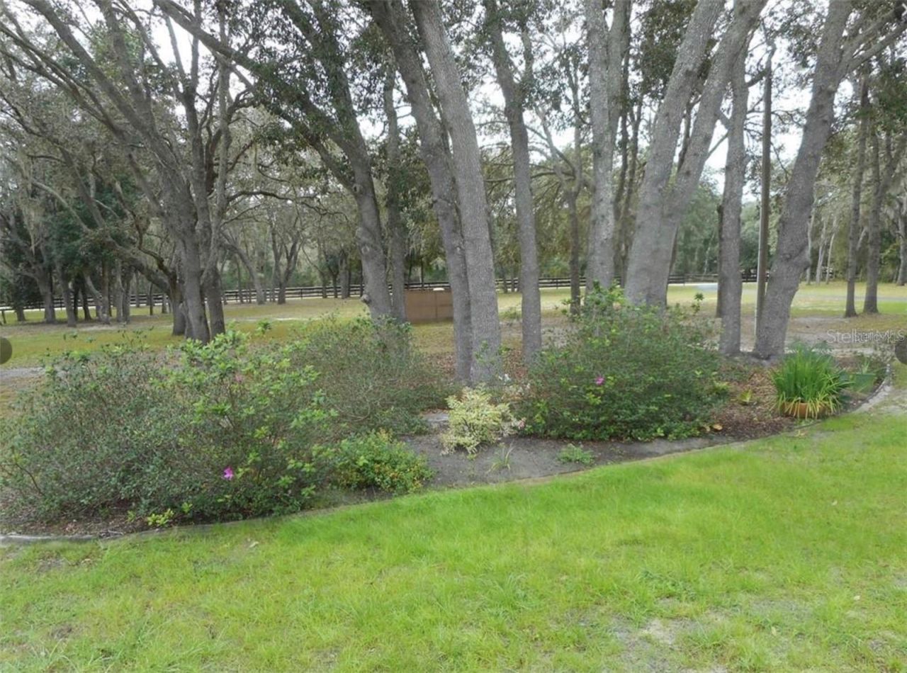 41030 Oak Grove Road, Weirsdale, FL 32195 Photo