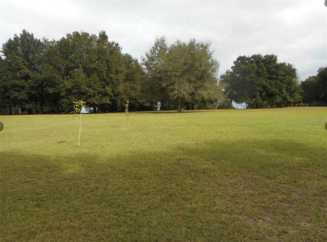 41030 Oak Grove Road, Weirsdale, FL 32195 Photo