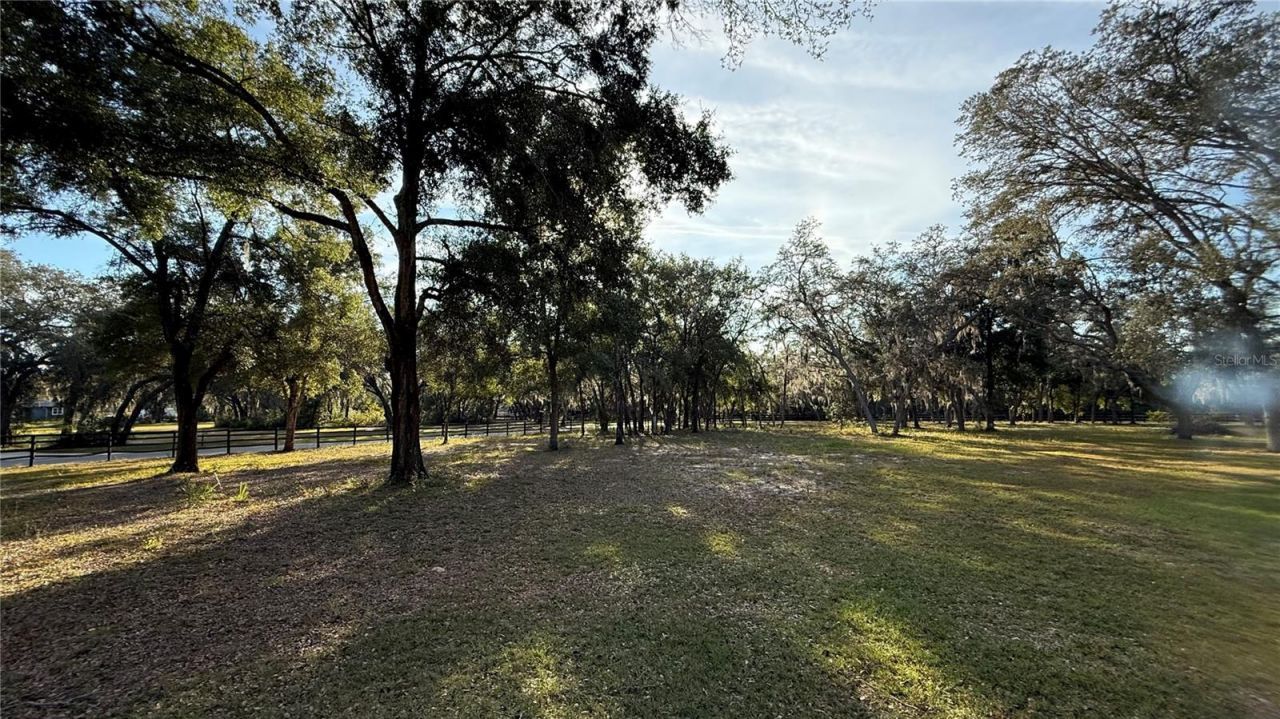 41030 Oak Grove Road, Weirsdale, FL 32195 Photo