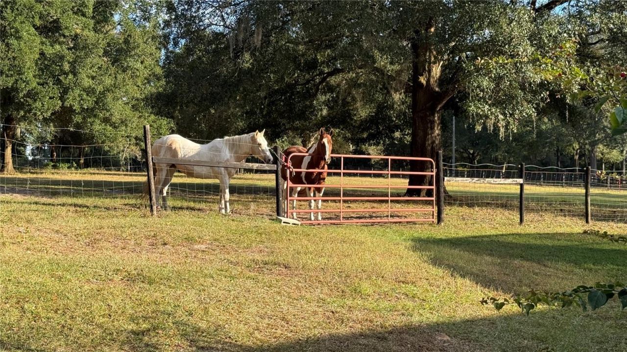 41030 Oak Grove Road, Weirsdale, FL 32195 Photo