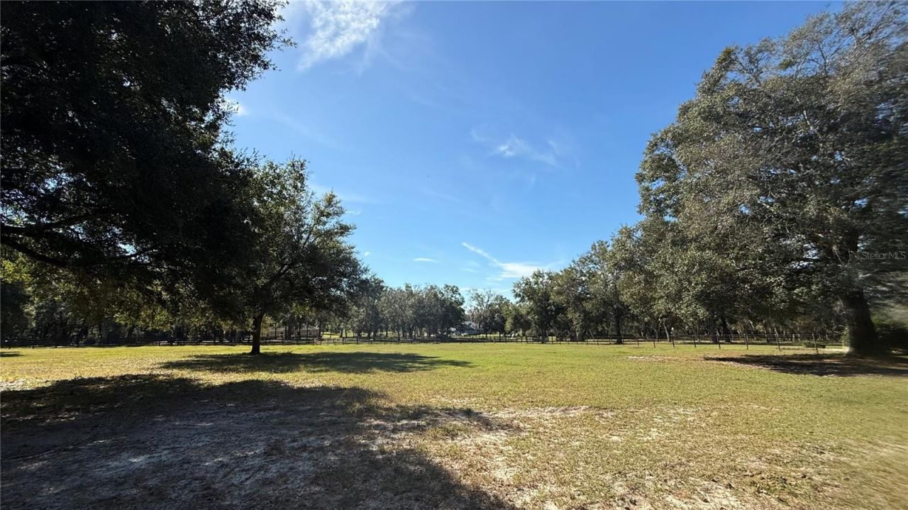 41030 Oak Grove Road, Weirsdale, FL 32195 Photo