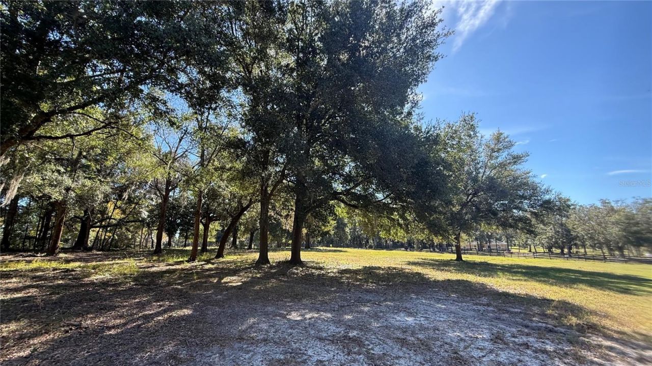 41030 Oak Grove Road, Weirsdale, FL 32195 Photo