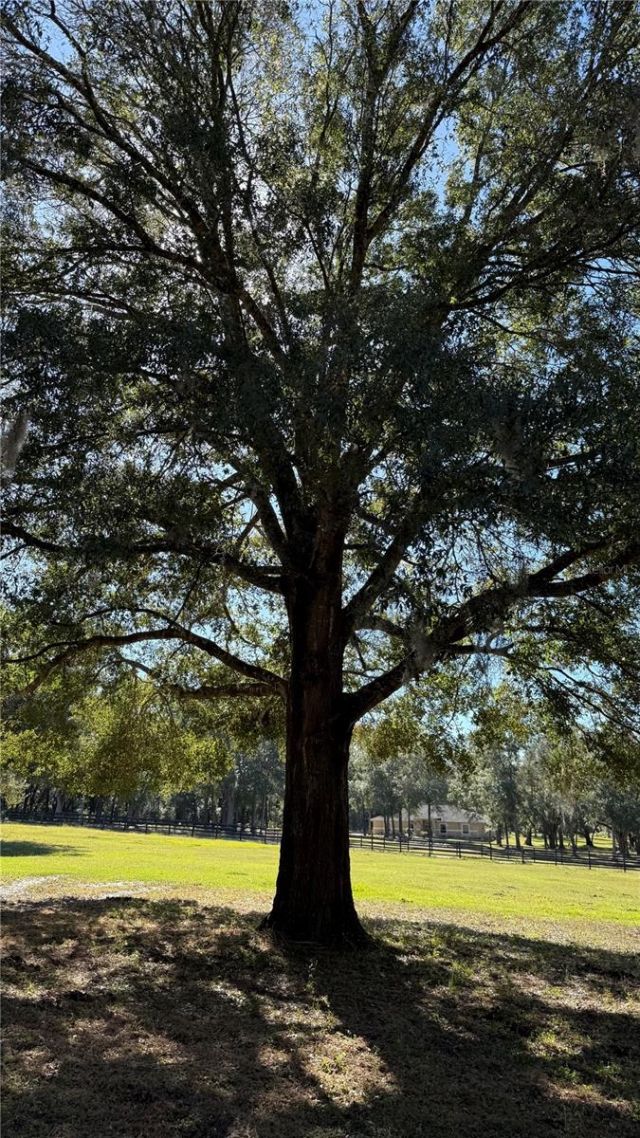 41030 Oak Grove Road, Weirsdale, FL 32195 Photo