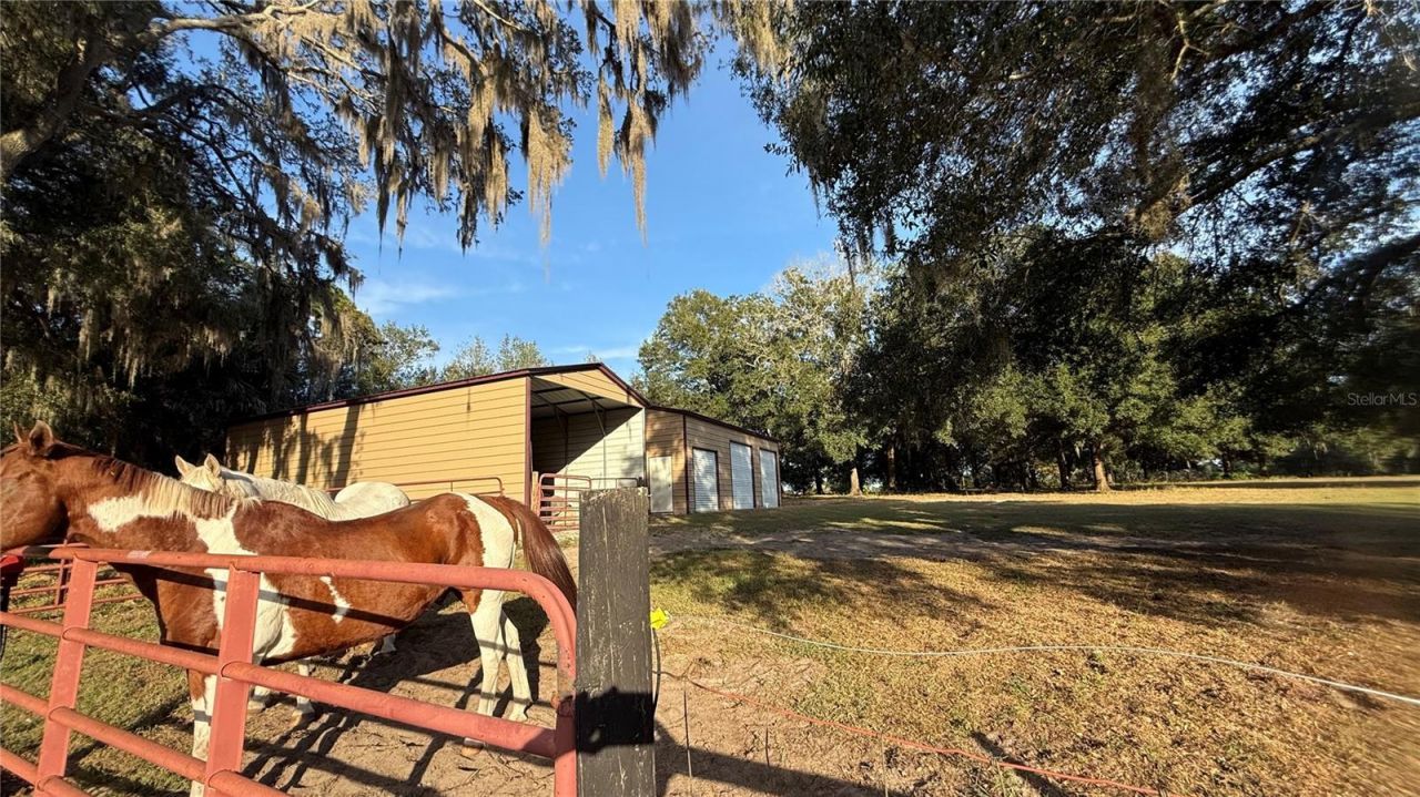 41030 Oak Grove Road, Weirsdale, FL 32195 Photo