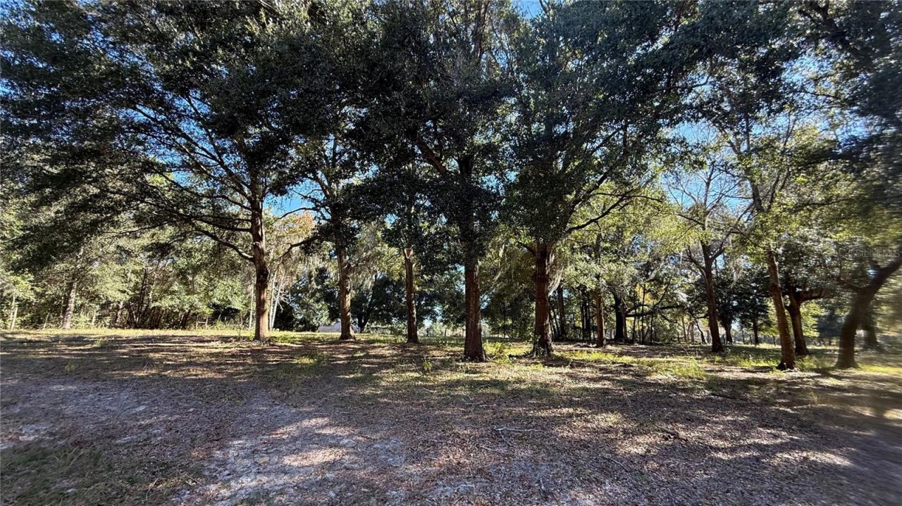 41030 Oak Grove Road, Weirsdale, FL 32195 Photo