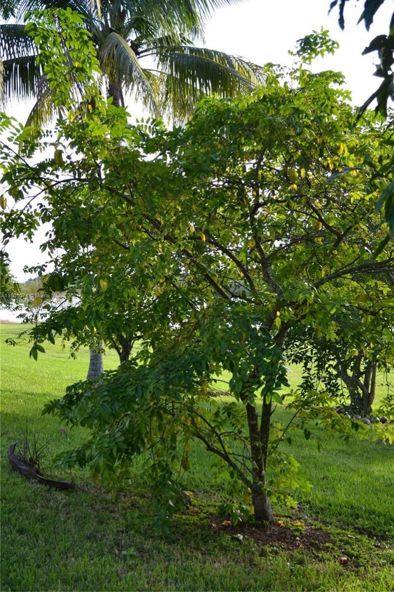 22418 SW 94th Path, Cutler Bay, FL 33190 Photo