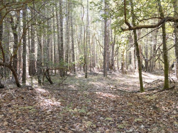 1195 Idlewild Drive, Cave Junction, OR 97523