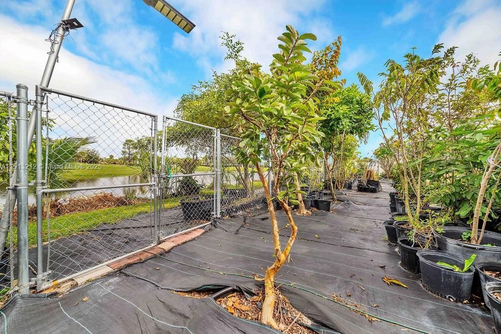 20831 Copperhead Drive, Lehigh Acres, FL 33936 Photo