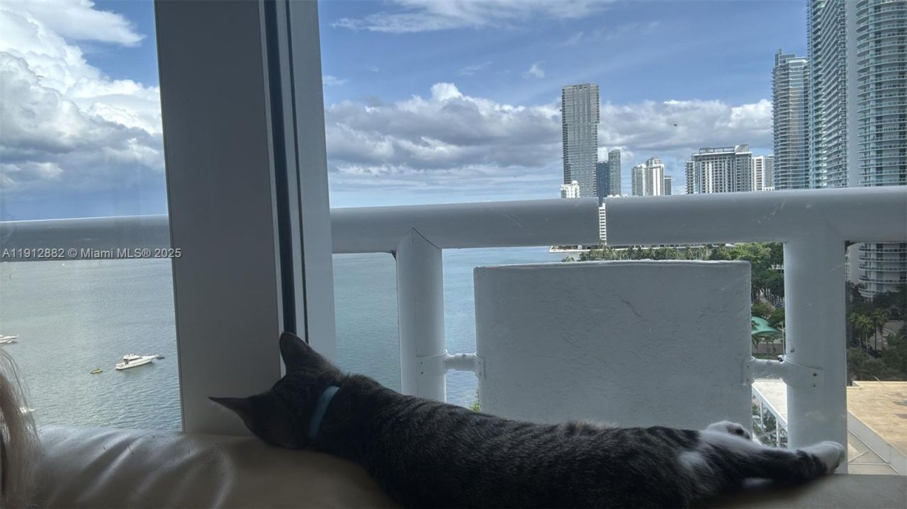 1717 N Bayshore Dr, Unit A-1734, Miami, FL 33132 Photo