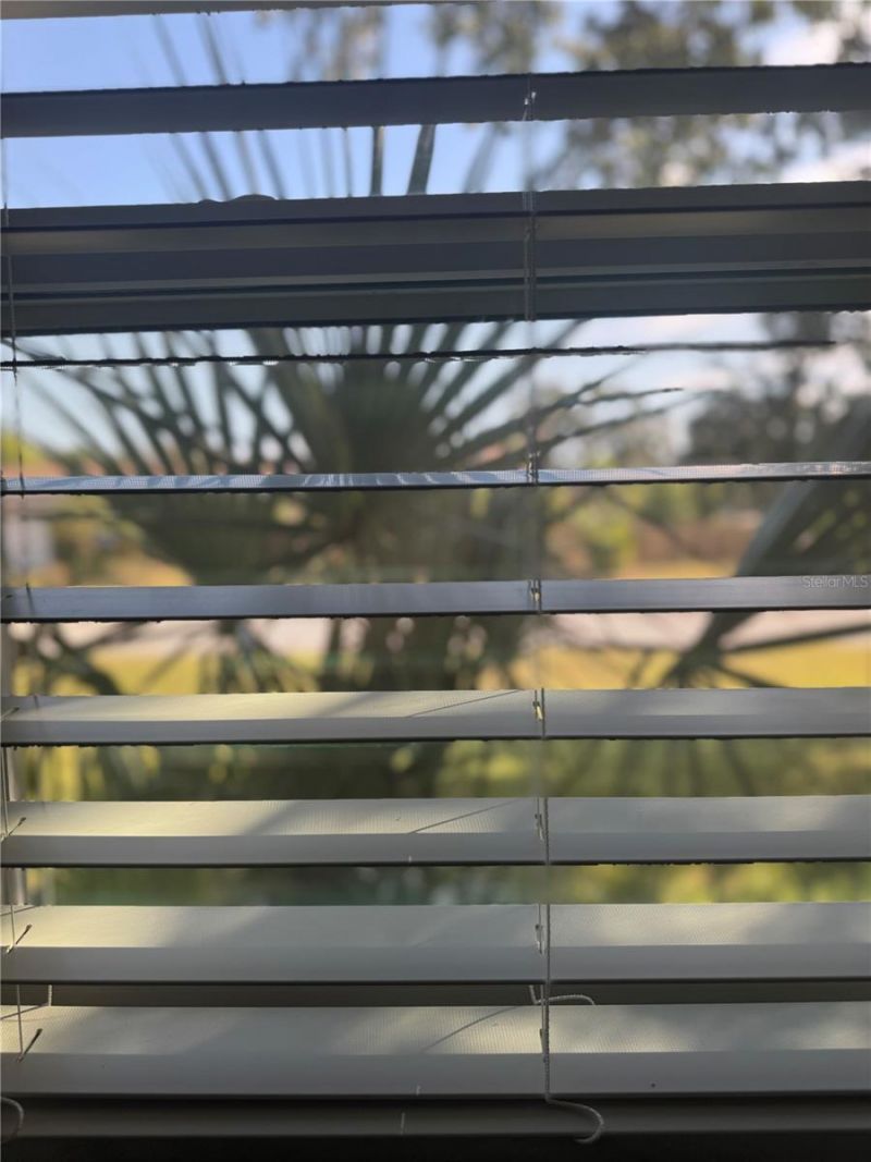 1500 39th Street N, Saint Petersburg, FL 33713 Photo