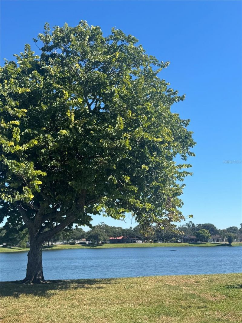 1500 39th Street N, Saint Petersburg, FL 33713 Photo