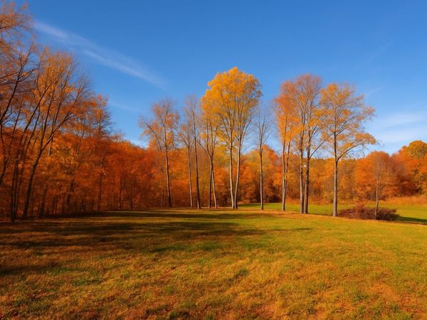 0 Old Highway 48, Clarksville, TN 37040