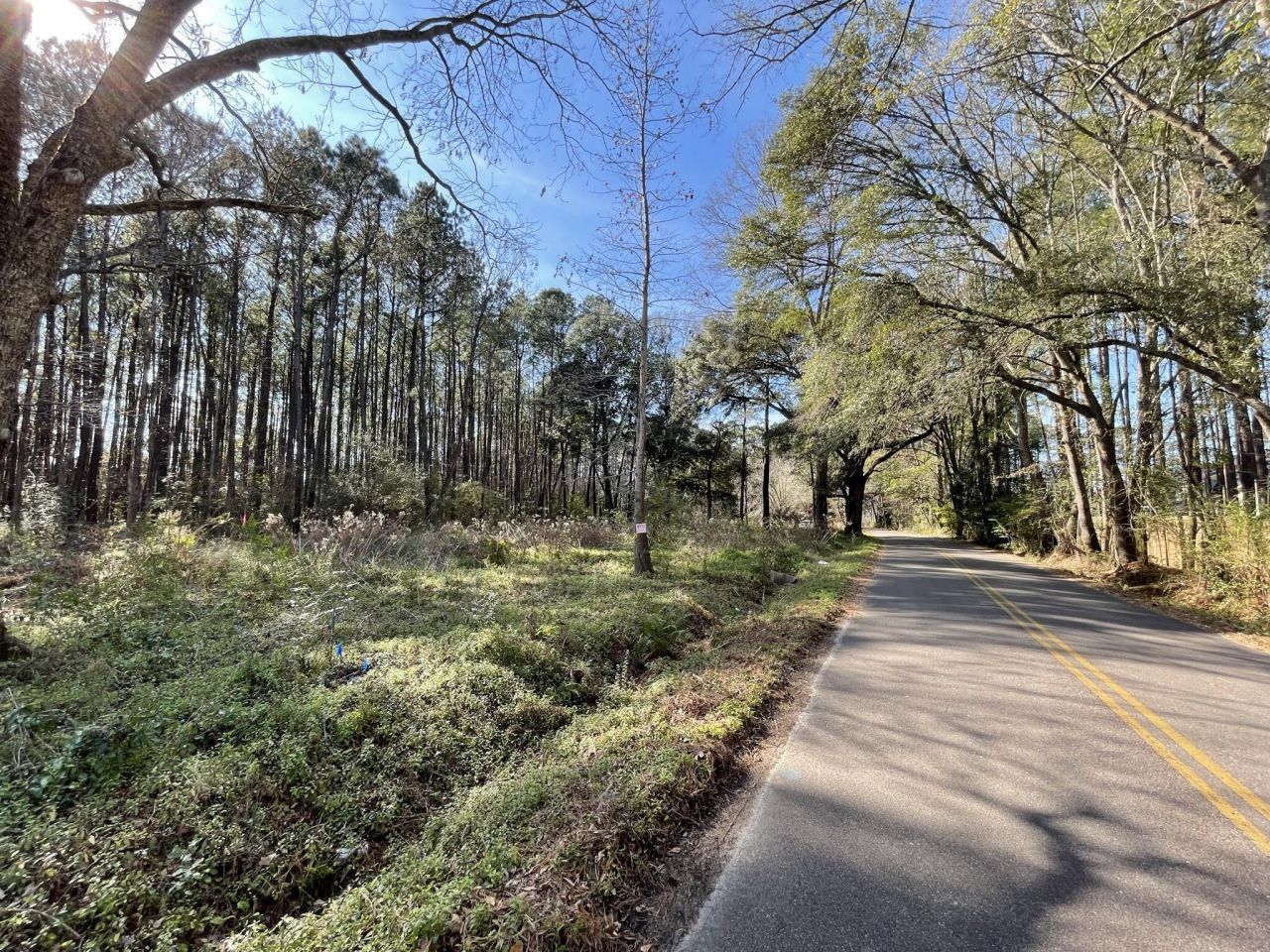 137 Droze Road Photo 4