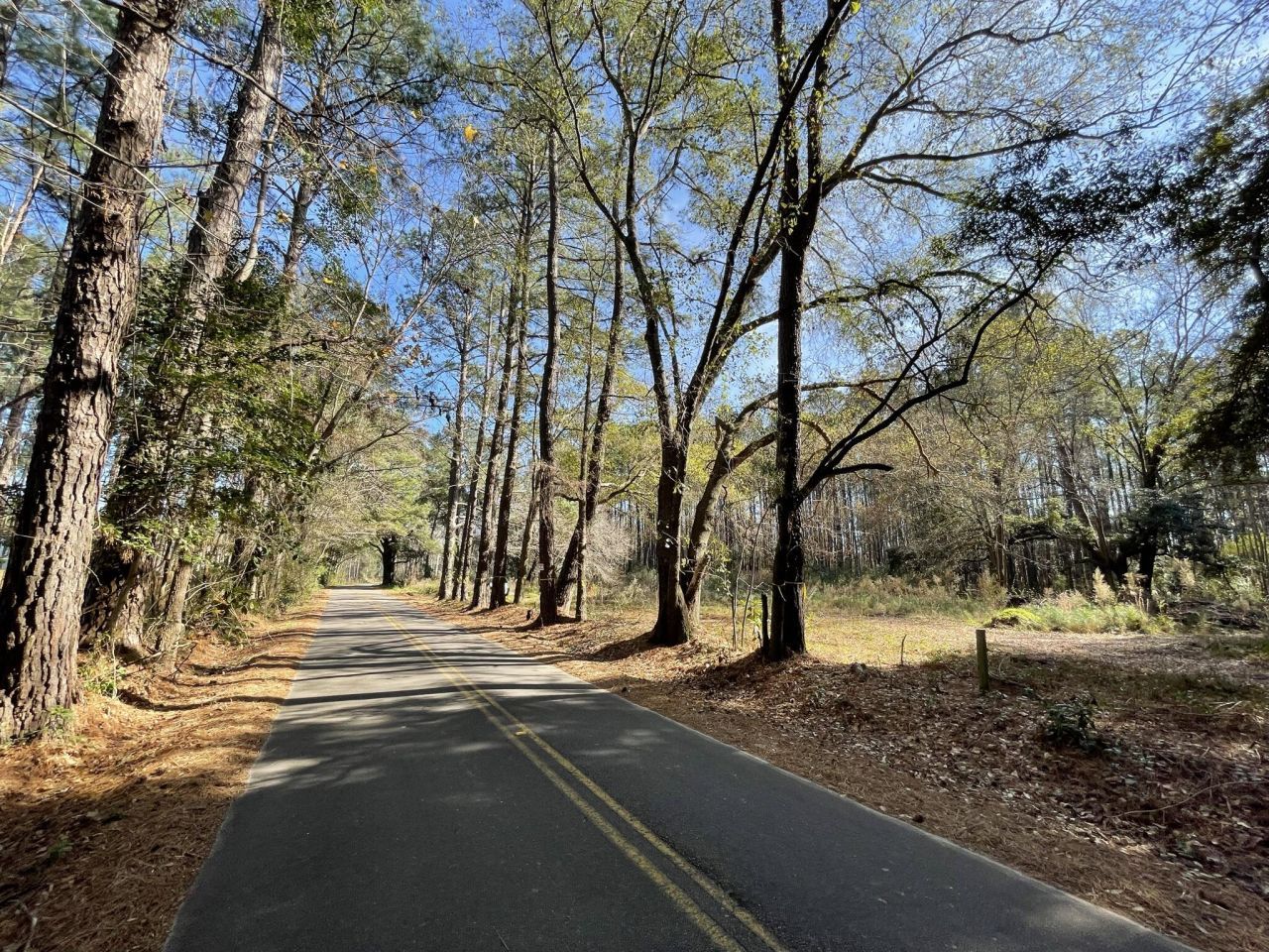 137 Droze Road Photo 6