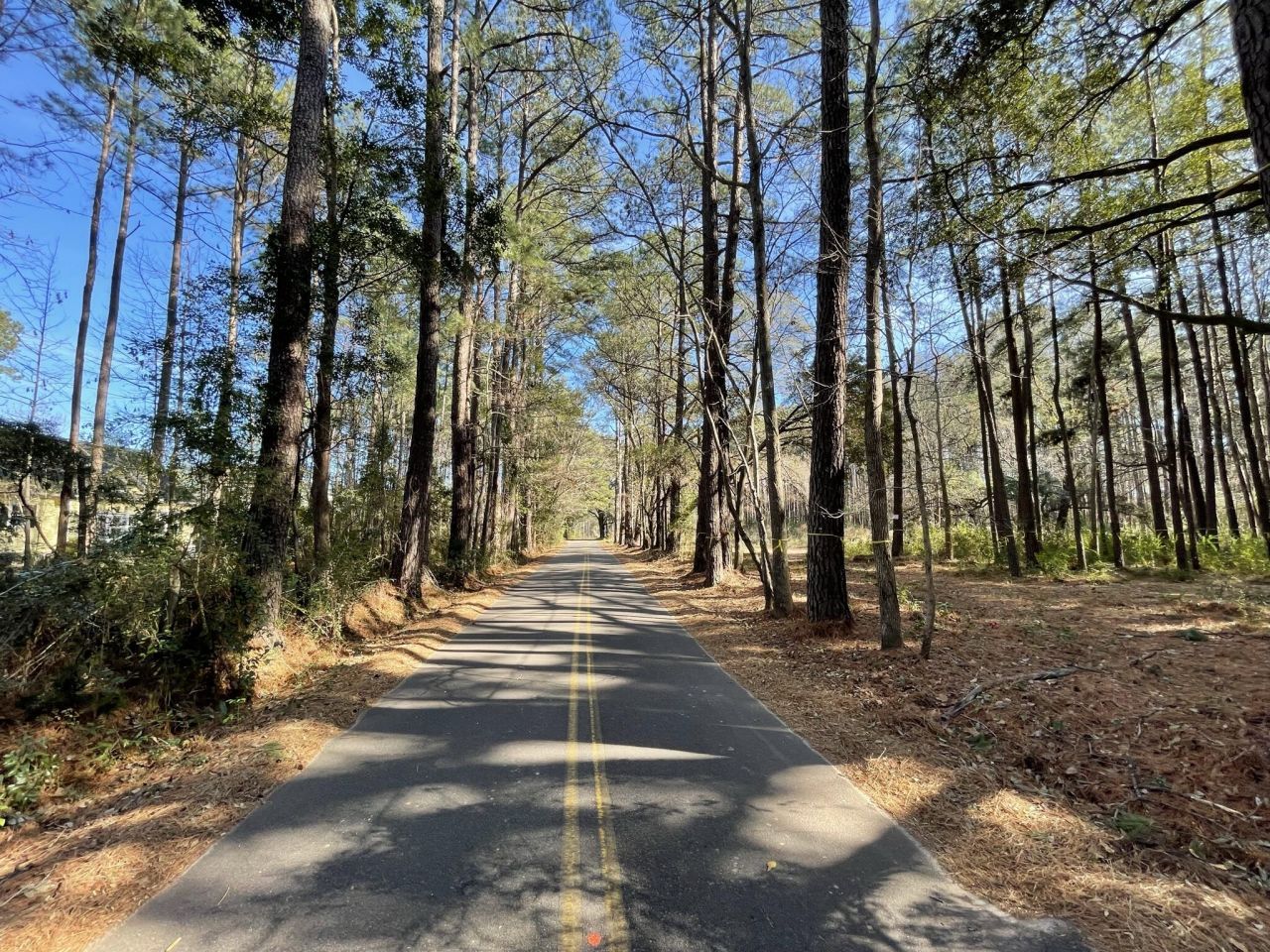 137 Droze Road Photo 7