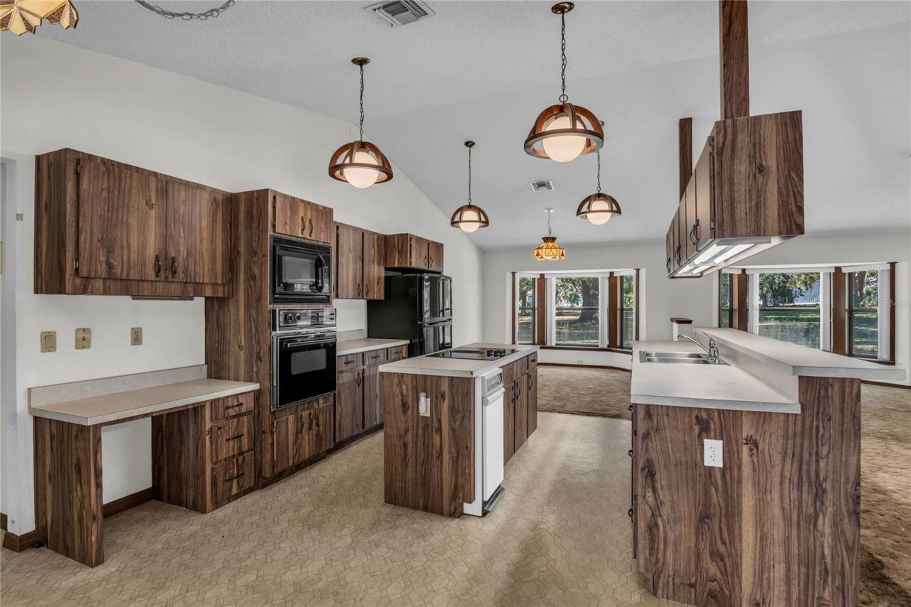 624 Hull Island Drive, Oakland, FL 34787 Photo