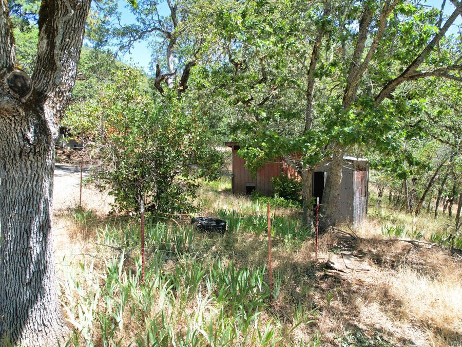 Property Image 41