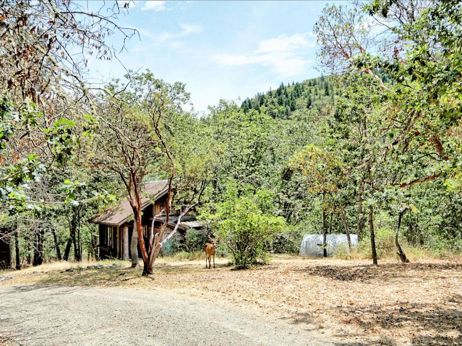 Property Image 47