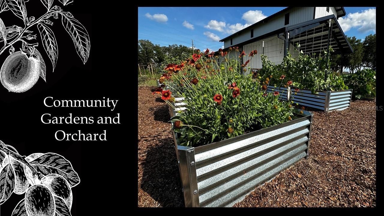 5415 SW 125th Circle, Archer, FL 32618 Photo