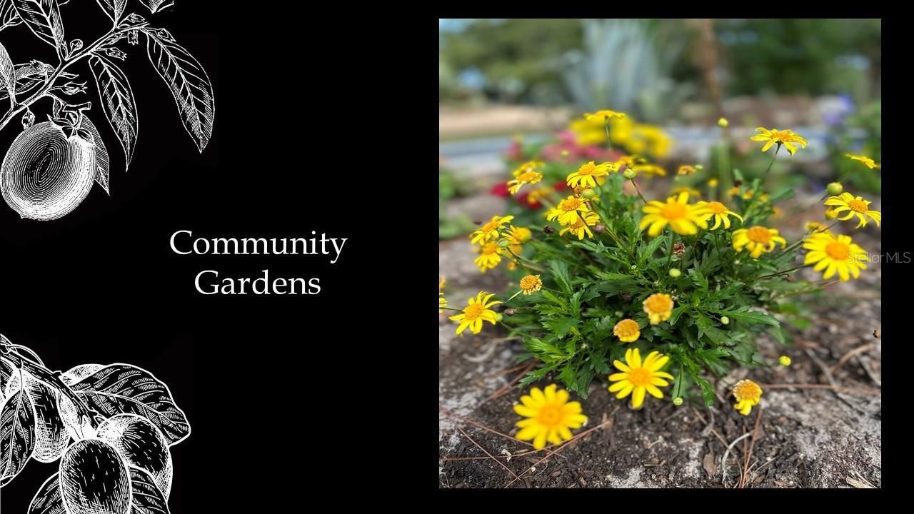 5415 SW 125th Circle, Archer, FL 32618 Photo