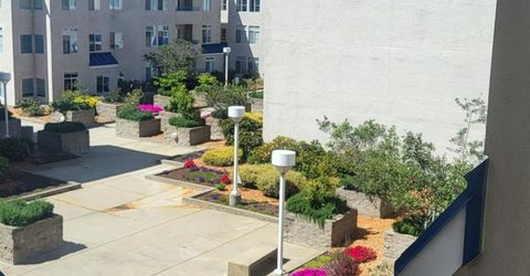 535 Pierce St #5109, Unit 5109, Albany, CA 94706 Photo