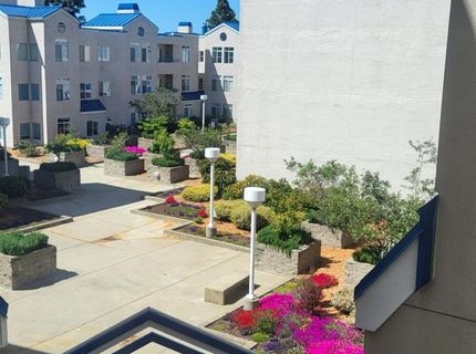 535 Pierce St #5109, Unit 5109, Albany, CA 94706 Photo