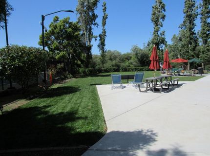 535 Pierce St #5109, Unit 5109, Albany, CA 94706 Photo