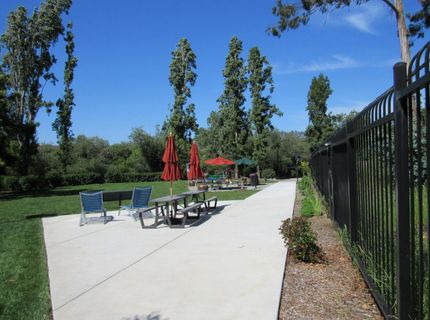 535 Pierce St #5109, Unit 5109, Albany, CA 94706 Photo