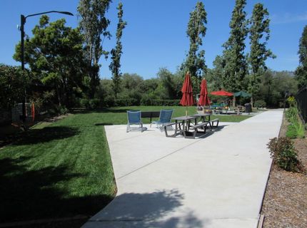 535 Pierce St #5109, Unit 5109, Albany, CA 94706 Photo