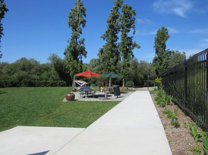 535 Pierce St #5109, Unit 5109, Albany, CA 94706 Photo