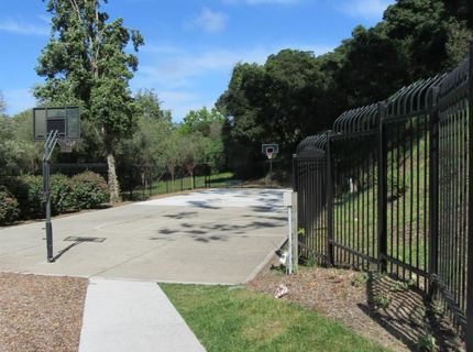 535 Pierce St #5109, Unit 5109, Albany, CA 94706 Photo