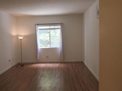 535 Pierce St #5109, Unit 5109, Albany, CA 94706 Photo