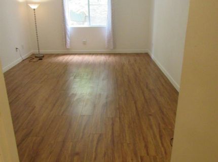 535 Pierce St #5109, Unit 5109, Albany, CA 94706 Photo