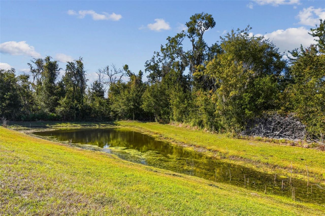 12907 Conquistador Loop, Spring Hill, FL 34610 Photo