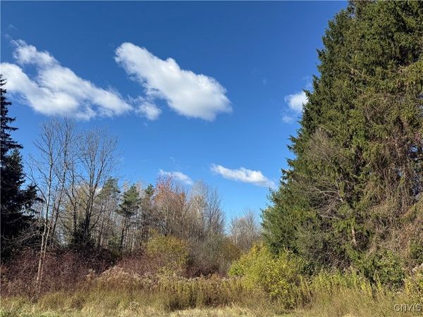 00 Clark Mills Road, Whitestown, NY 13492