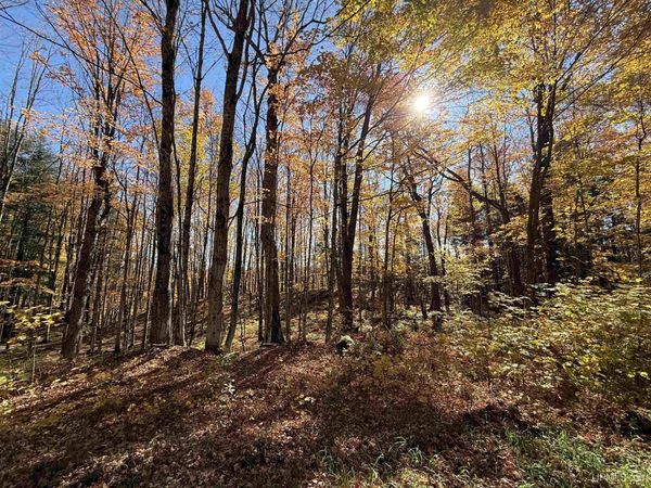 Parcel 230 Blue Road, Laird Twp, MI 49958